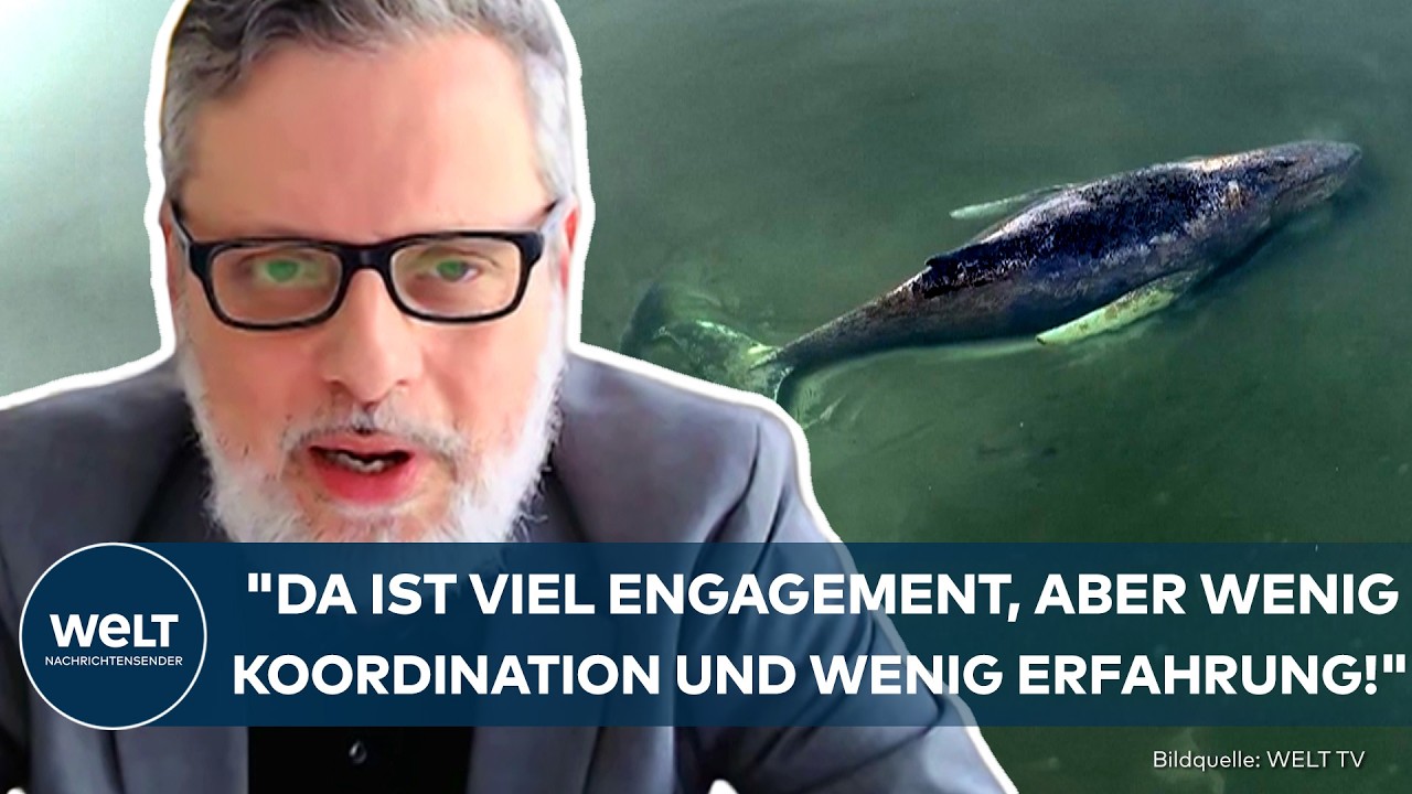 WAL-DRAMA: "Dann kloppen sich irgendwann alle!" Was wirklich hinter der Hilfsbereitschaft steckt!