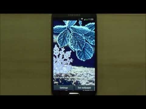 Winter Live Wallpaper Video