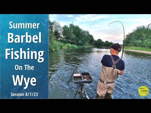 Barbel Fishing The River Wye - Summer Trotting The Stick Float - 8/7/23 (Video 417)