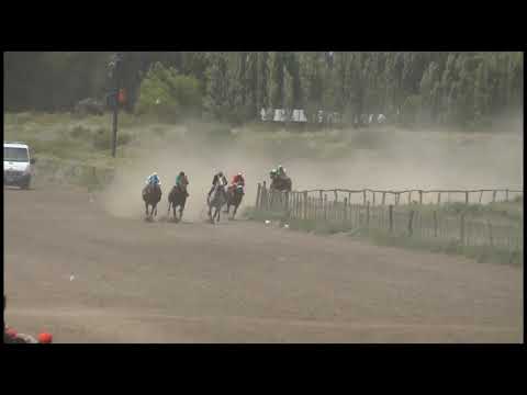 FORASTERO  Club Hípico "Cabo Alarcón" - Picun Leufu - Neuquén - 17-12-23