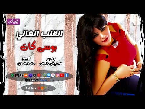 القلب الغالي بوسي كات