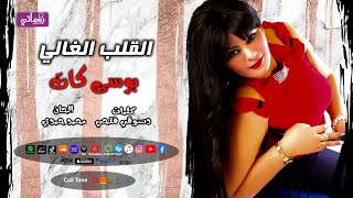 كلمات اغنية القلب الغالي بوسي كات