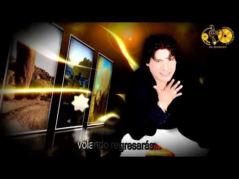 Chinito Del Ande - Paloma Ingrata / Oficial