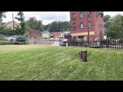 203 - 123 West Sycamore St - Video 2 of 2