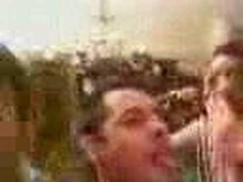 pot - 10 - camello pelea