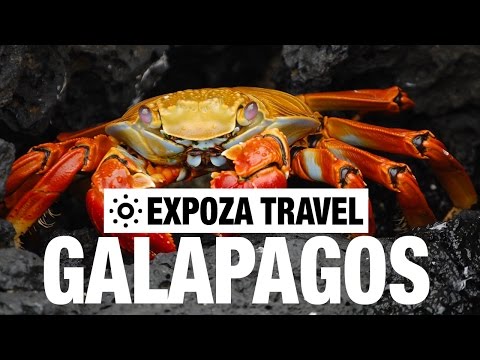 Galapagos Islands Vacation Travel Video Guide