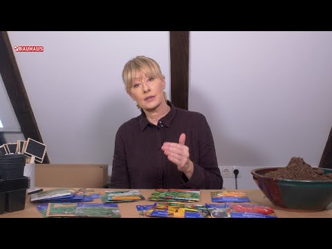 Škola vrtlarstva - što sijemo u veljači