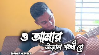 Download lagu ও আমার উড়াল পঙ্খী রে |O AmarUralPonkhiRe |Bangla New Cover Song |RoufMusic mp3
