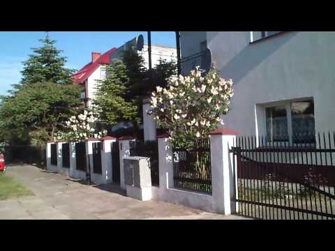 POKOJE GOŚCINNE WANDA - WIDOK  GŁÓWNY 00