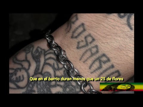 Coqeéin Montana x Zaravia Zaudita - Miedo Es Mala Palabra | LETRA