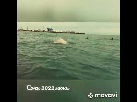 воспоминание о лете,плаваю в море.Сочи июнь 2022 #лайк #оценкаканала #рек