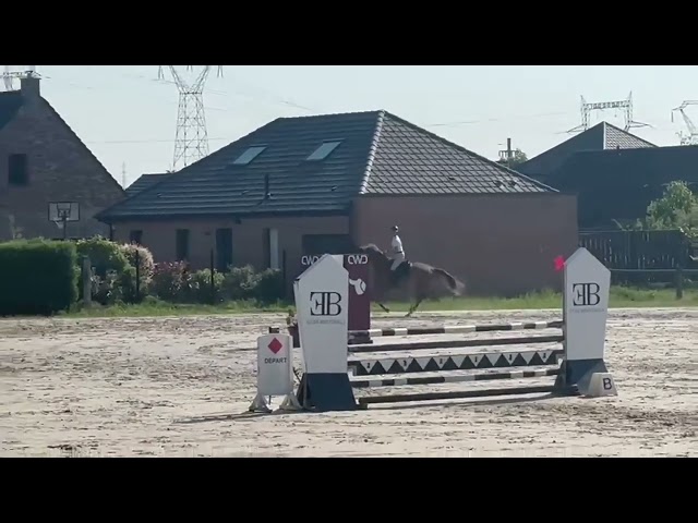Kelle Star du Comte, superbe jument de 5ans