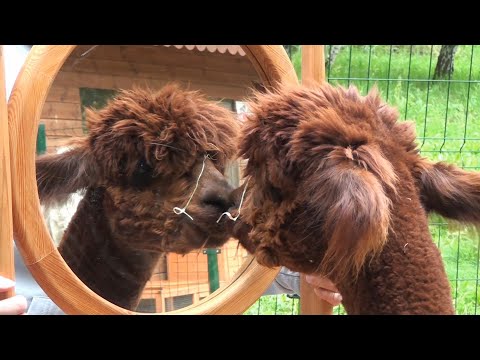 Kanony piękna są w nas