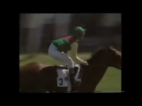 High Quality Footage as Nijinsky completes The Triple Crown in 1970.Racing Legend.