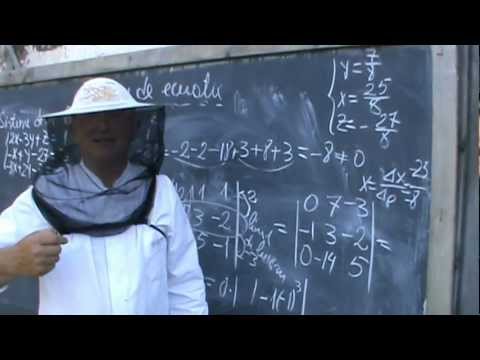3. Bazele Matematicii: Lectia 38 - De ce se fac sisteme de ecuatii? 3/4