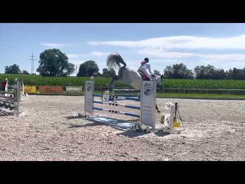 ZORAN (6yo Zirocco Blue) 16.07.22 Dietmannsried - 1. 🥇 Platz SPF L 8,3