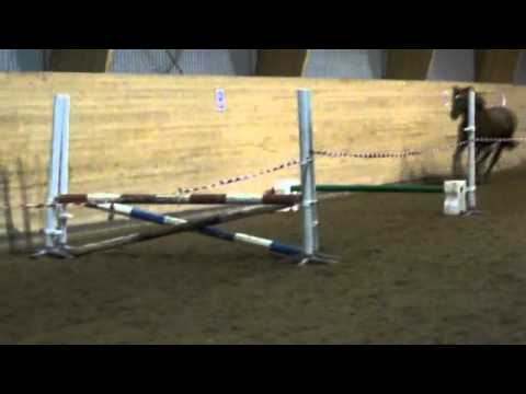 Bacardi löshoppar 4/12