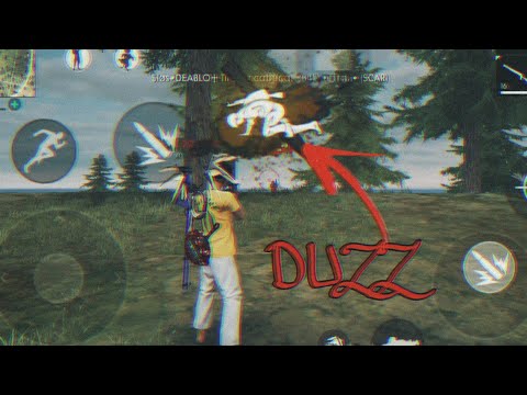 DUZZ EM AÇÃO! 🙀