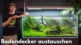 Film liquid nature 150 cm
