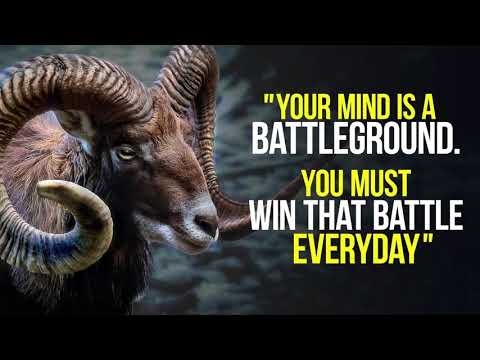ONE OF THE BEST SPEECHES EVER - RETRAIN YOUR MIND  New Motivational Video Compilation ᴴᴰ