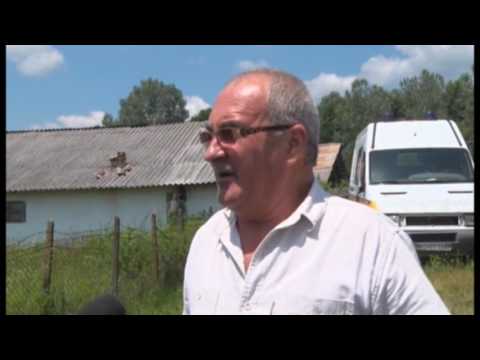 jurnal musceltv 13 06 2017 primarie cocu calcata de hoti   primar tuca   razvan grigore