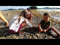 Dildo Run Provincial Park Newfoundland