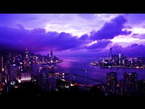 猫 シ Corp. - 紫の五十色合い