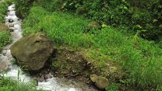 Download lagu 432Hz Relaxing Piano | Deep Sleep, Meditation & Focus Background Music 🎵🍃 mp3 Download lagu 432Hz Relaxing Piano | Deep Sleep, Meditation & Focus Background Music 🎵🍃 mp3