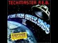 Techmaster PEB - Do You Like Technobass?