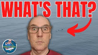 Norwegian Encore:  The FINAL almost SEA DAY!