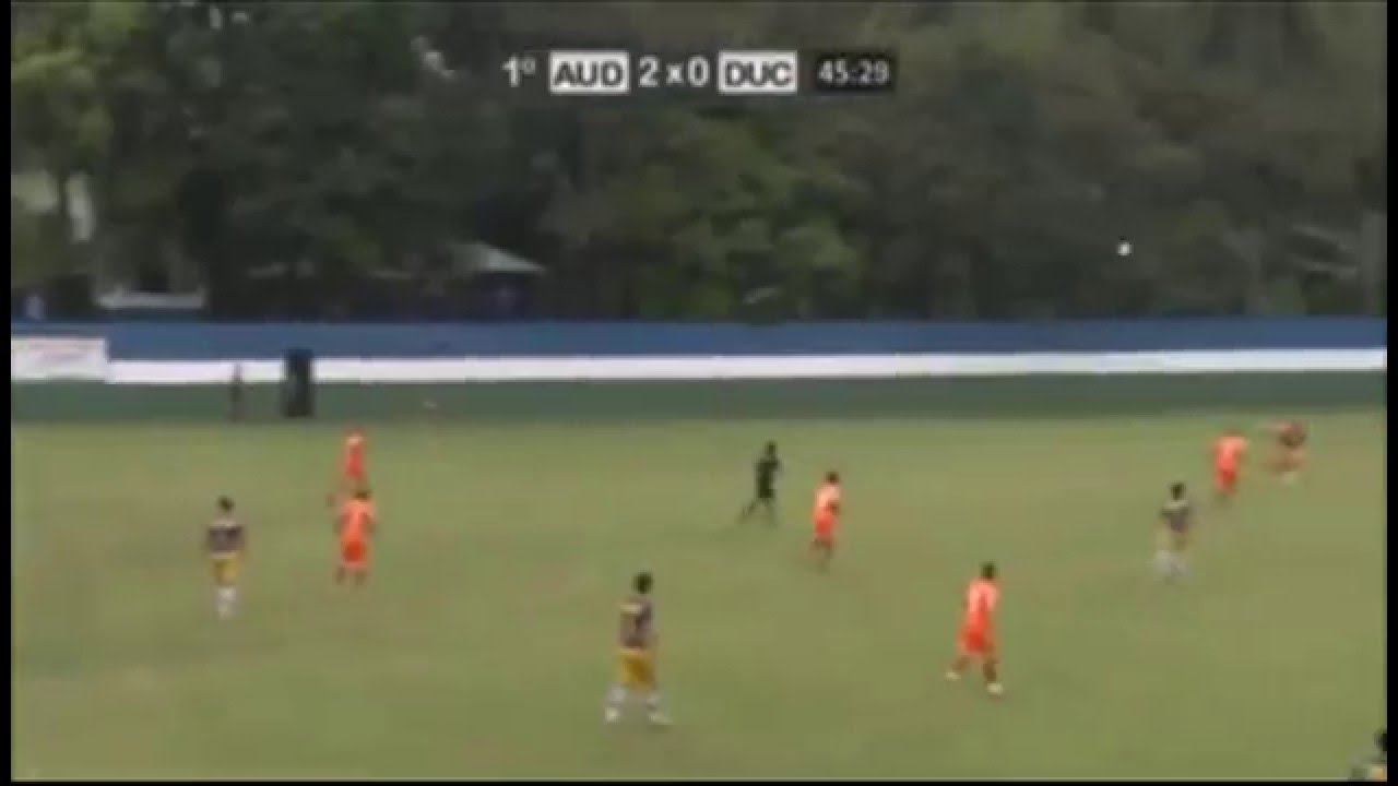 Highlights