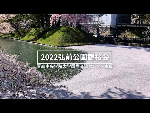 看護学科 2022年度：弘前公園観桜会　Hirosaki Park cherry blossom