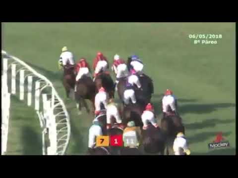 PÁREO DA SAUDADE - UMA ATROPELADA ESPETACULAR NO GP SÃO PAULO - EUQUEMANDO