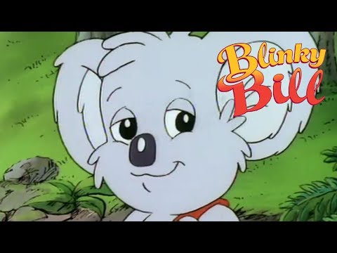 Blinky Bill - Episode 5 - Blinky Bill The Teacher