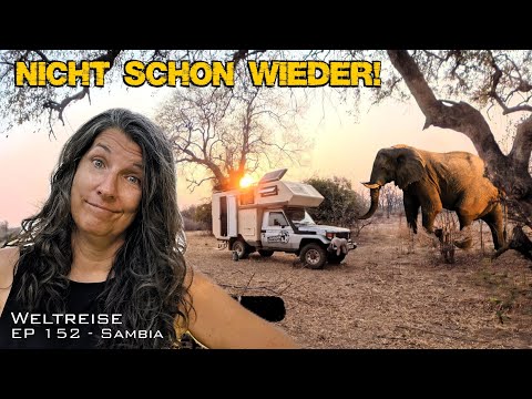 Why Africa's wildlife gets your heart racing! Overlanding and wildlife documentaries | EP152