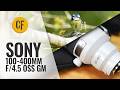 Sony FE 100-400mm f/4.5 GM OSS camera lens review