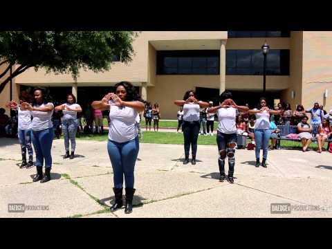 Alpha Tau Chapter of Delta Sigma Theta Yard Show Spring 2014