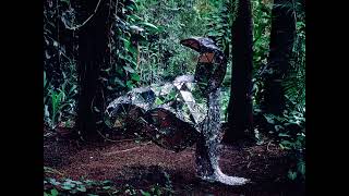 CSS - Jager Yoga Legendado