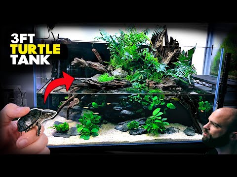 Aquascape Tutorial: 💚 3ft TURTLE Aqua Terrarium | Paludarium | Aquarium (How To: Planted Tank Guide)