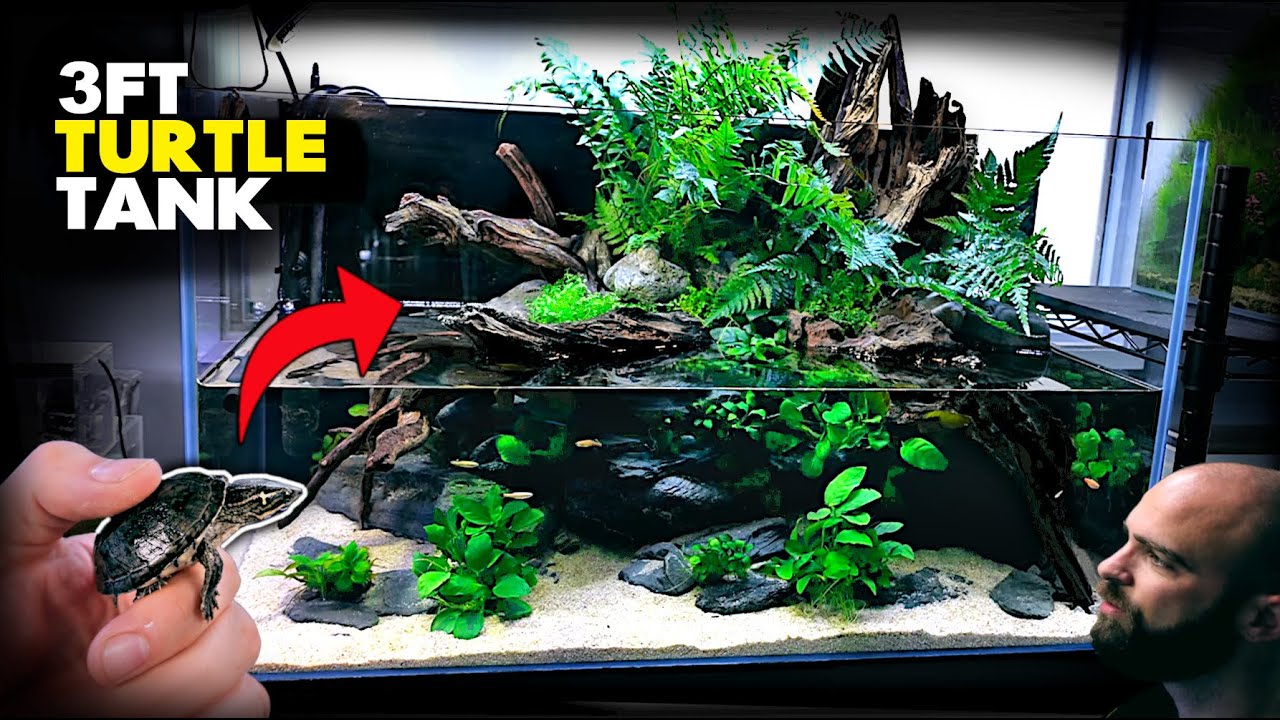 Aquascape Tutorial: 💚 3ft TURTLE Aqua Terrarium | Paludarium | Aquarium (How To: Planted Tank Guide)