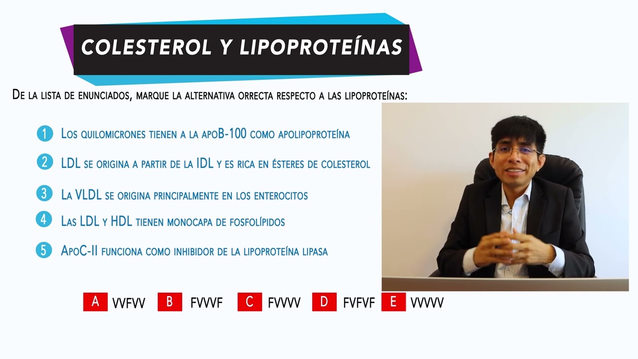 Preguntas tipo examen sobre lipoproteínas y colesterol | Bioquímica