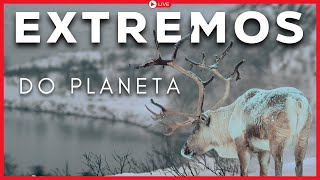 PATAGÔNIA E NORUEGA [Documentário Selvagem]