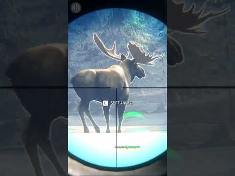 ❗FOOLISH Plan 🥴🥴 Dangerous Moose Hunting Medved Taiga the Hunter Call of the Wild #shorts #hunting