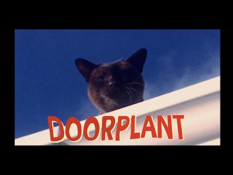 DOOR PLANT - Shower now (OFFICIAL MV)