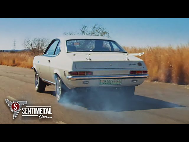 Firenza Can Am – The Little Chev with big muscle
