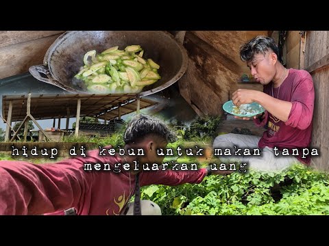 Hidup tanpa biaya kebutuhan tercukupi menjaga ram bersama kecik hidup di hutan