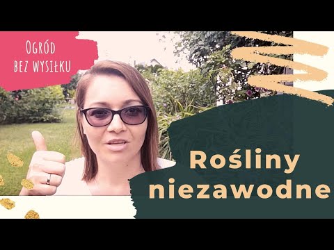 #3 Reliable plants that can handle themselves without your care. Proven and maintenance-free.