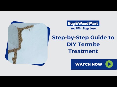 Step-by-Step Guide to DIY Termite Treatment