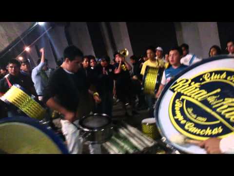 "Orquesta Azulcrema ritual del kaoz" Barra: Ritual Del Kaoz • Club: América