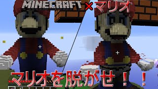 【マイクラ×マリオ】マイクラでマリオのミニゲームができるって知ってた？